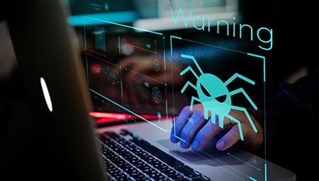 test-speed-impact-rapid